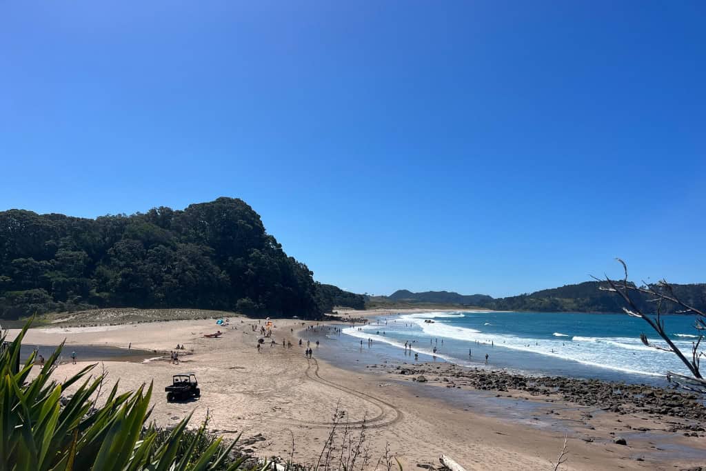 The view of hot water beach from the hill.
