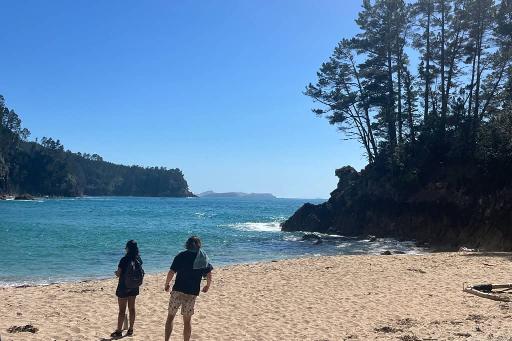 Two people looking out to the water from the sandy beach.