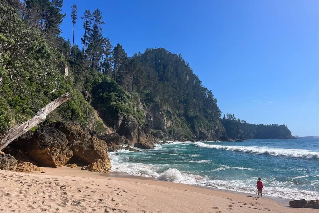 A sunny day at Pokohino Beach.