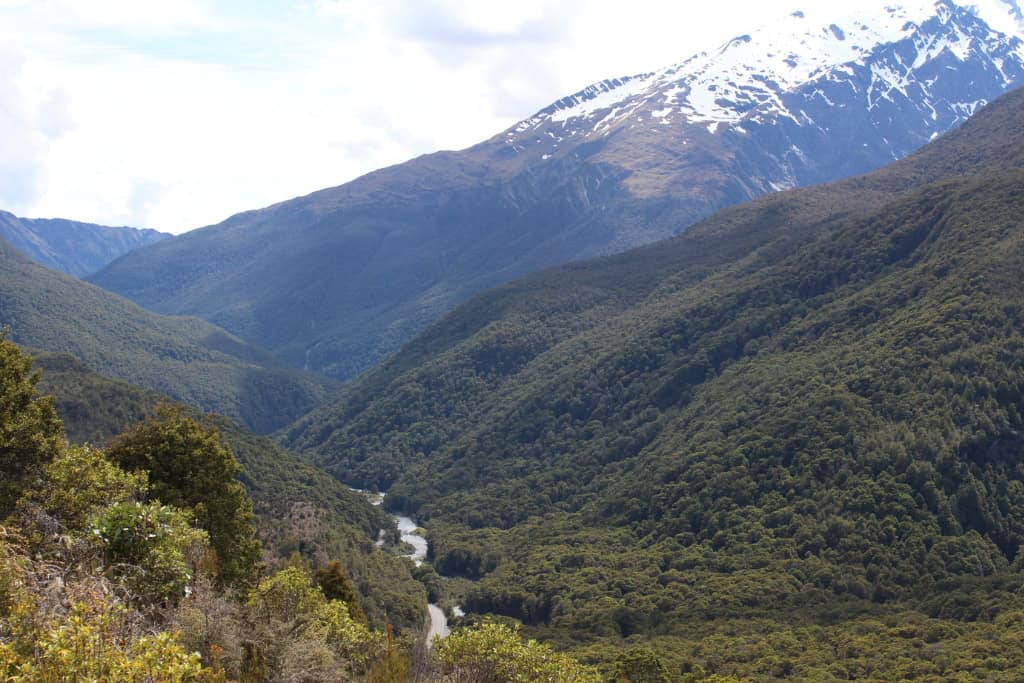Snow covered mountains towering over the dense New Zealand bush on the drive from Wānaka to Franz Josef.