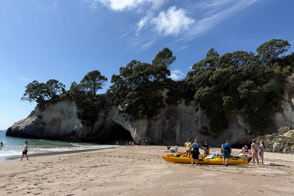 Yellow kayaks parked up on the beach.