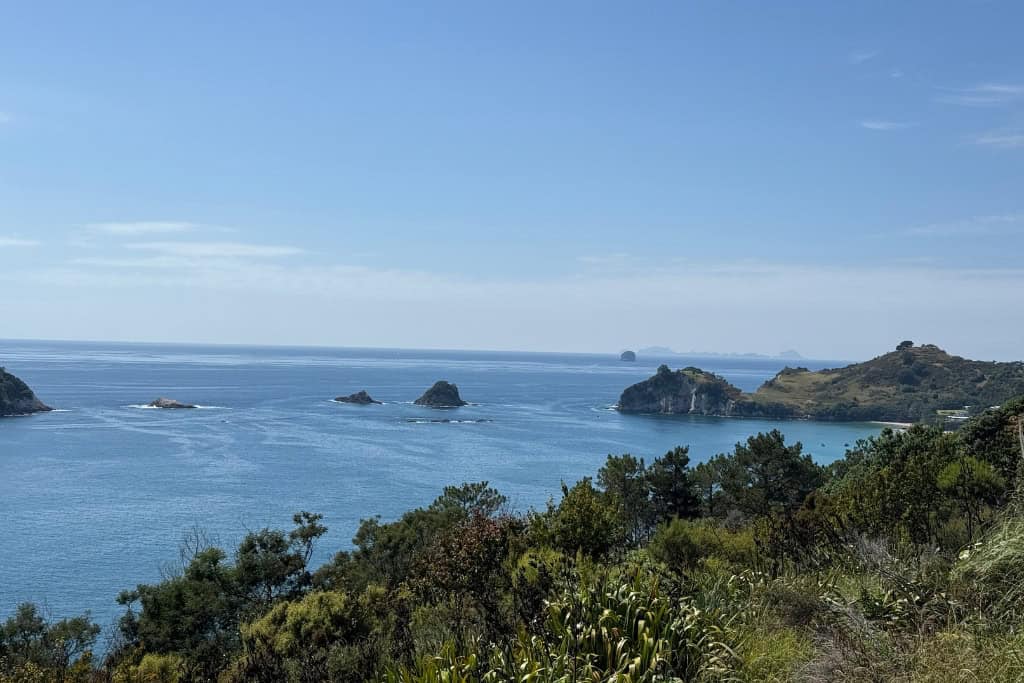 The view along the walk over native bush looking back towards Hahei.