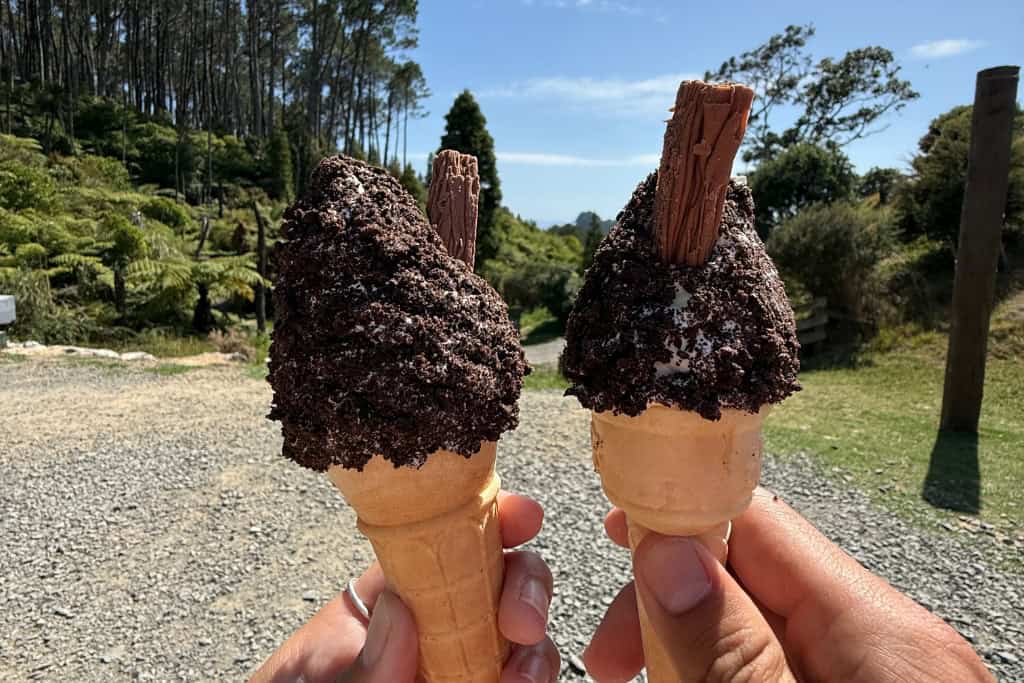 Two chocolate covered ice-creams with a flake in them.