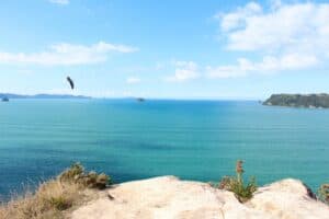 Views of the bright blue water from the Shakespeare Cliff Lookout.