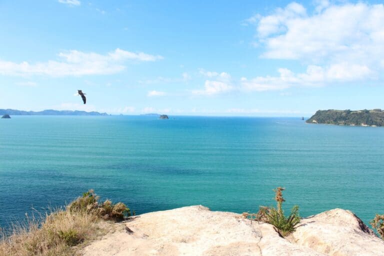 Views of the bright blue water from the Shakespeare Cliff Lookout.