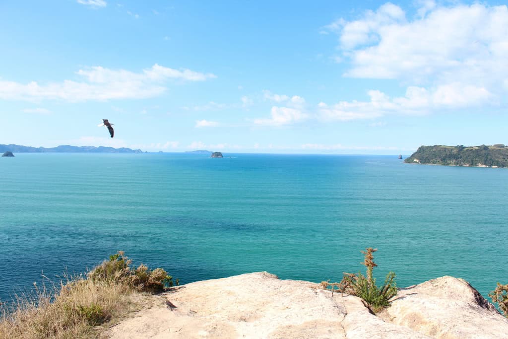 Views of the bright blue water from the Shakespeare Cliff Lookout.