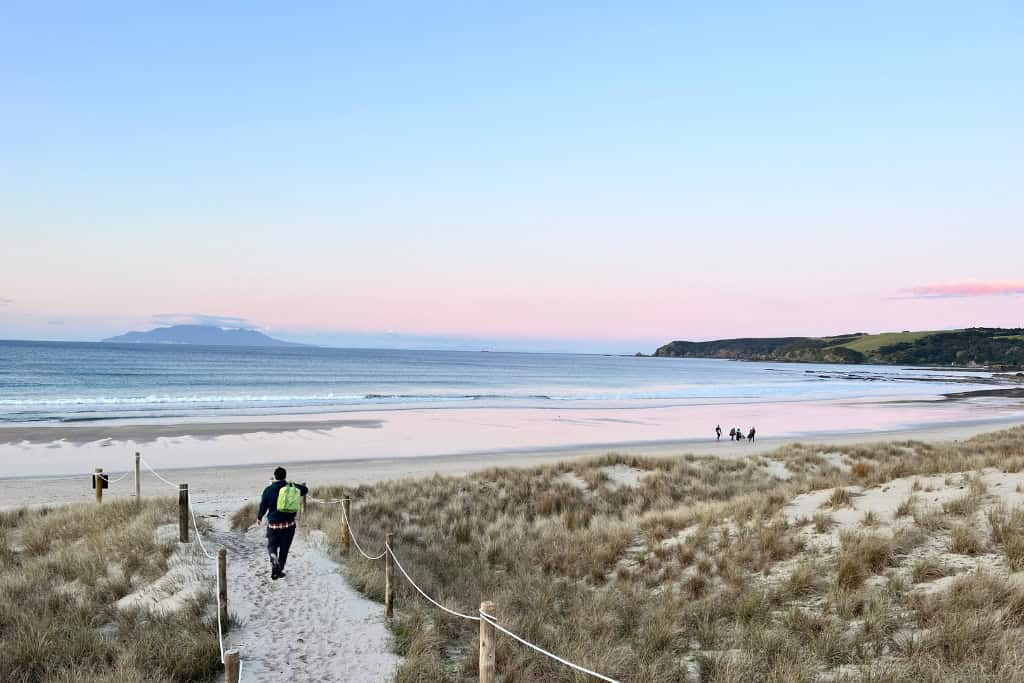 Person walking down the the beach at Tawharanui.