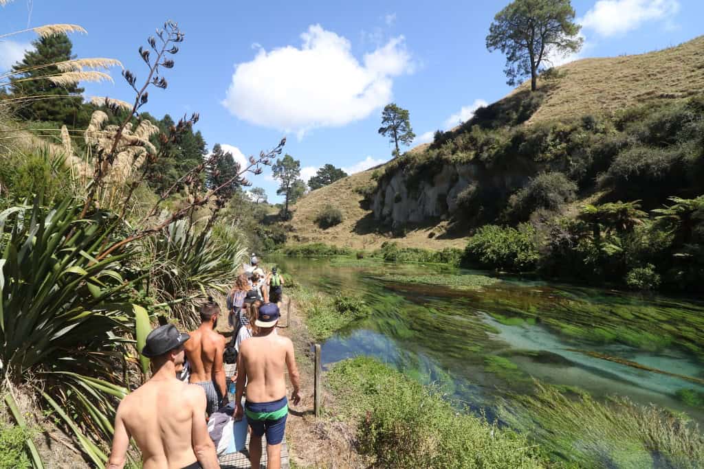 Group of people walking along the walkway at the blue springs.