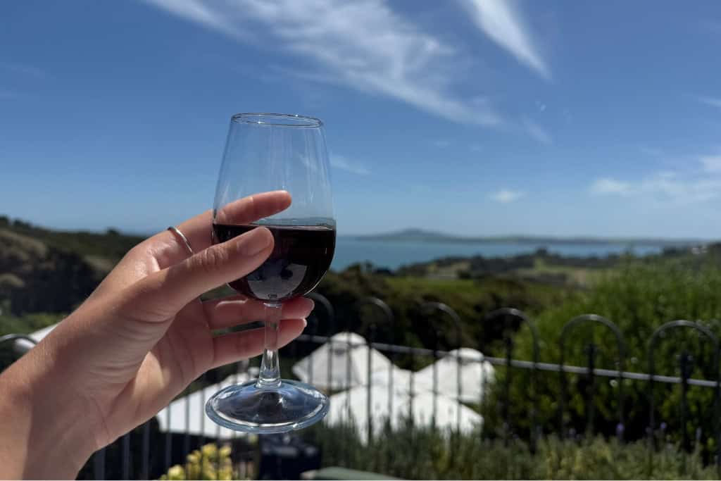 Glass of red wine being held in front of the ocean view.