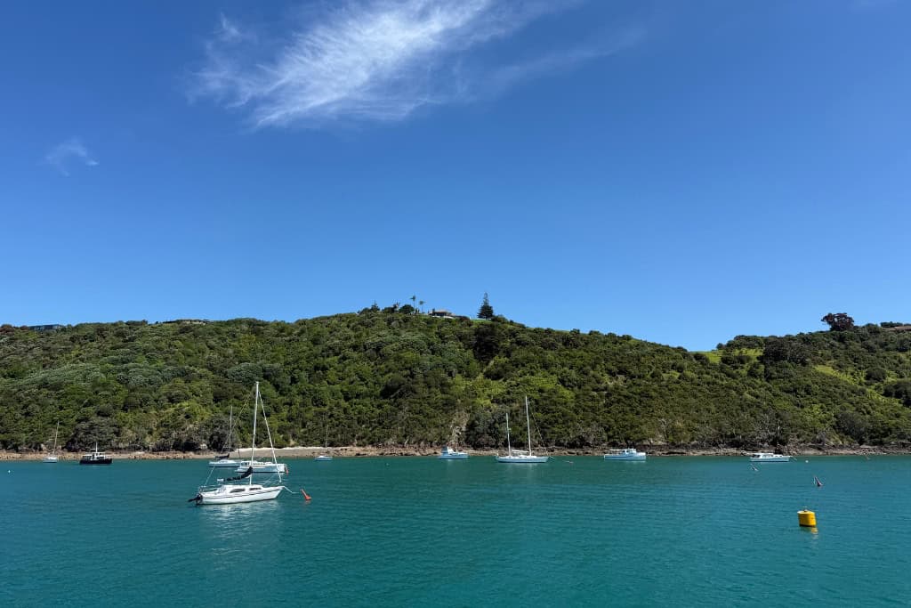 The blue water at Waiheke Island one of the best day trips from Auckland.