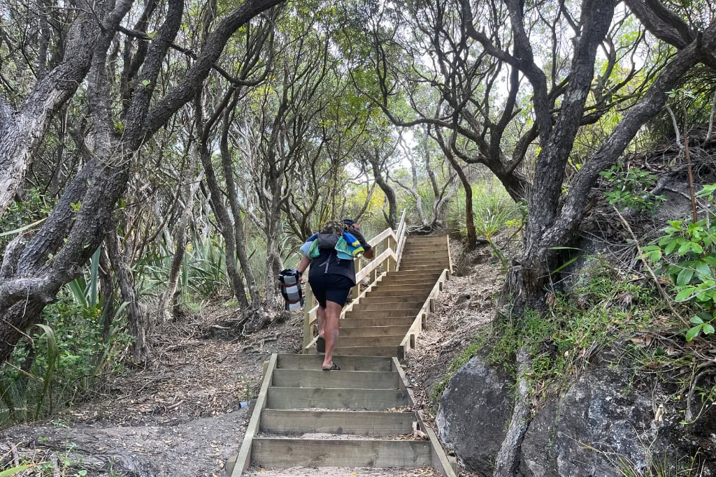 Man walking back up the stairs at Lonely Bay.