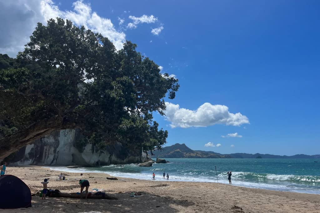 People relaxing on the beach at Lonely Bay.