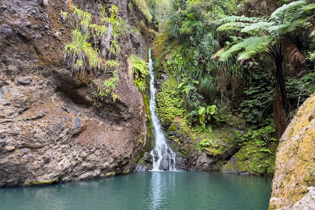 A small waterfall cascading down rocky steps surrounded by lush green native forest at Karamatura Falls near Auckland.